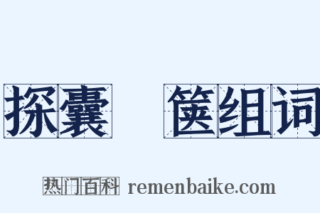 探囊胠箧组词是什么意思的图片